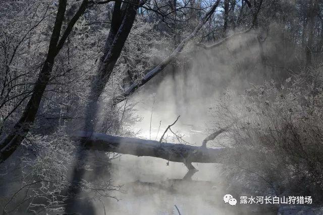 “沿着黄河遇见海”非遗文创展暨非遗文创产品赠送仪式在东营市第一中学举行